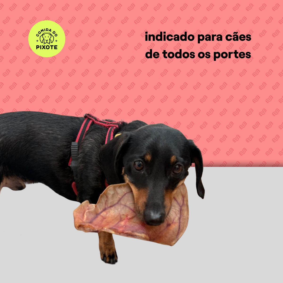 Orelha de Porco - 2 unidades