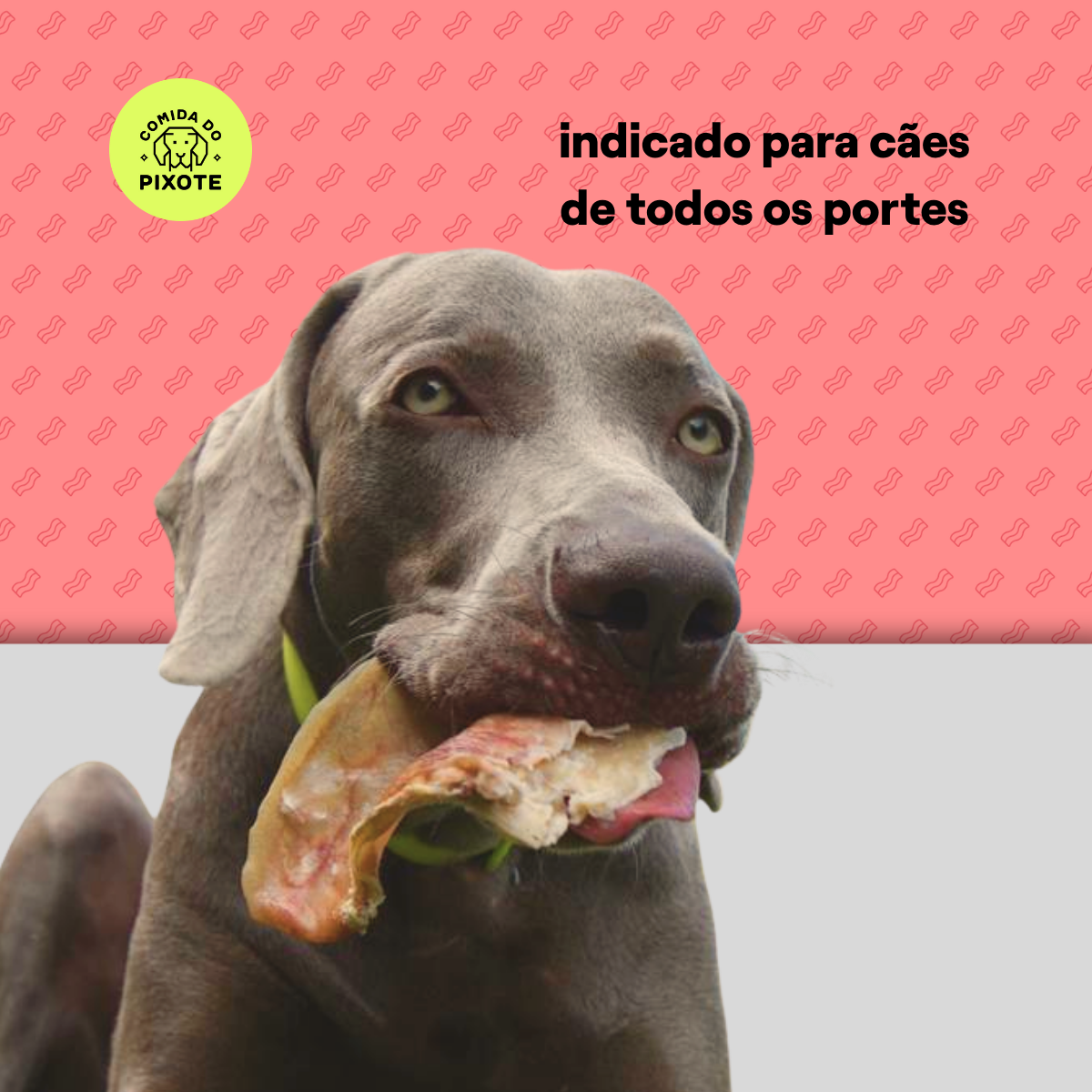 Orelha de Porco - 2 unidades