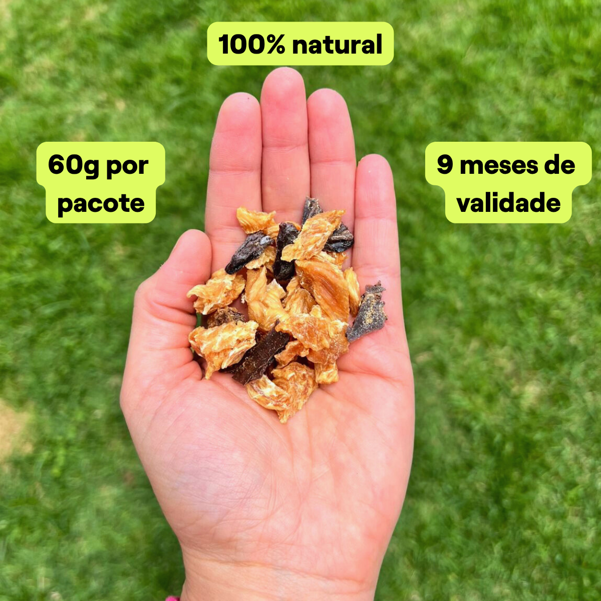 Mix de Treino - FRANGO