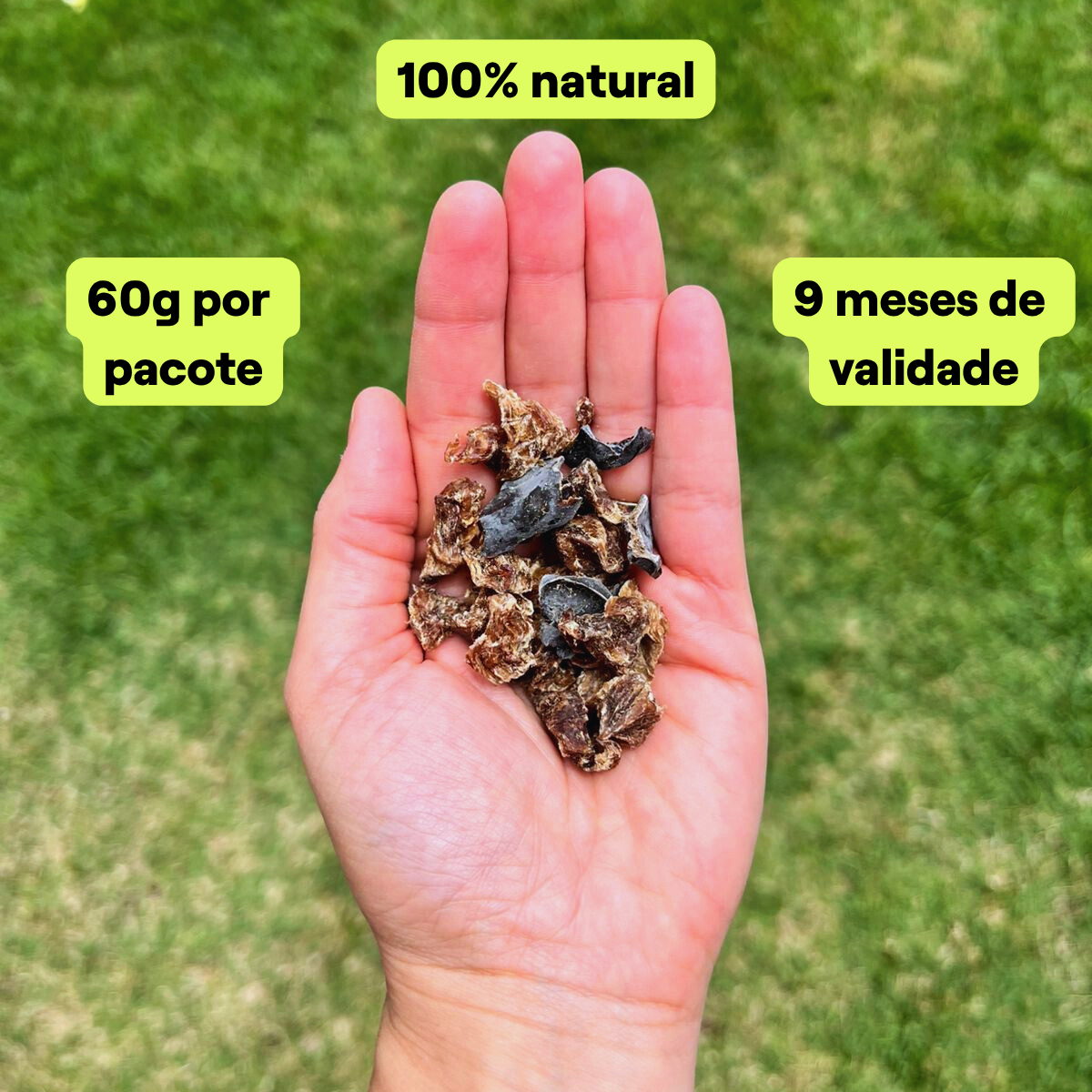 Mix de Treino - BOVINO