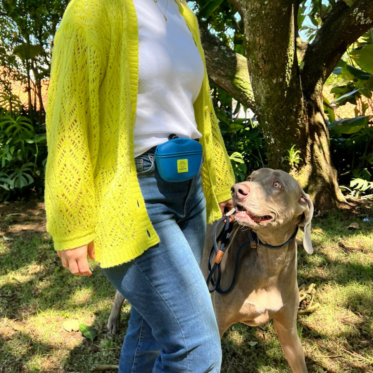 Petisqueira: Pixote to go