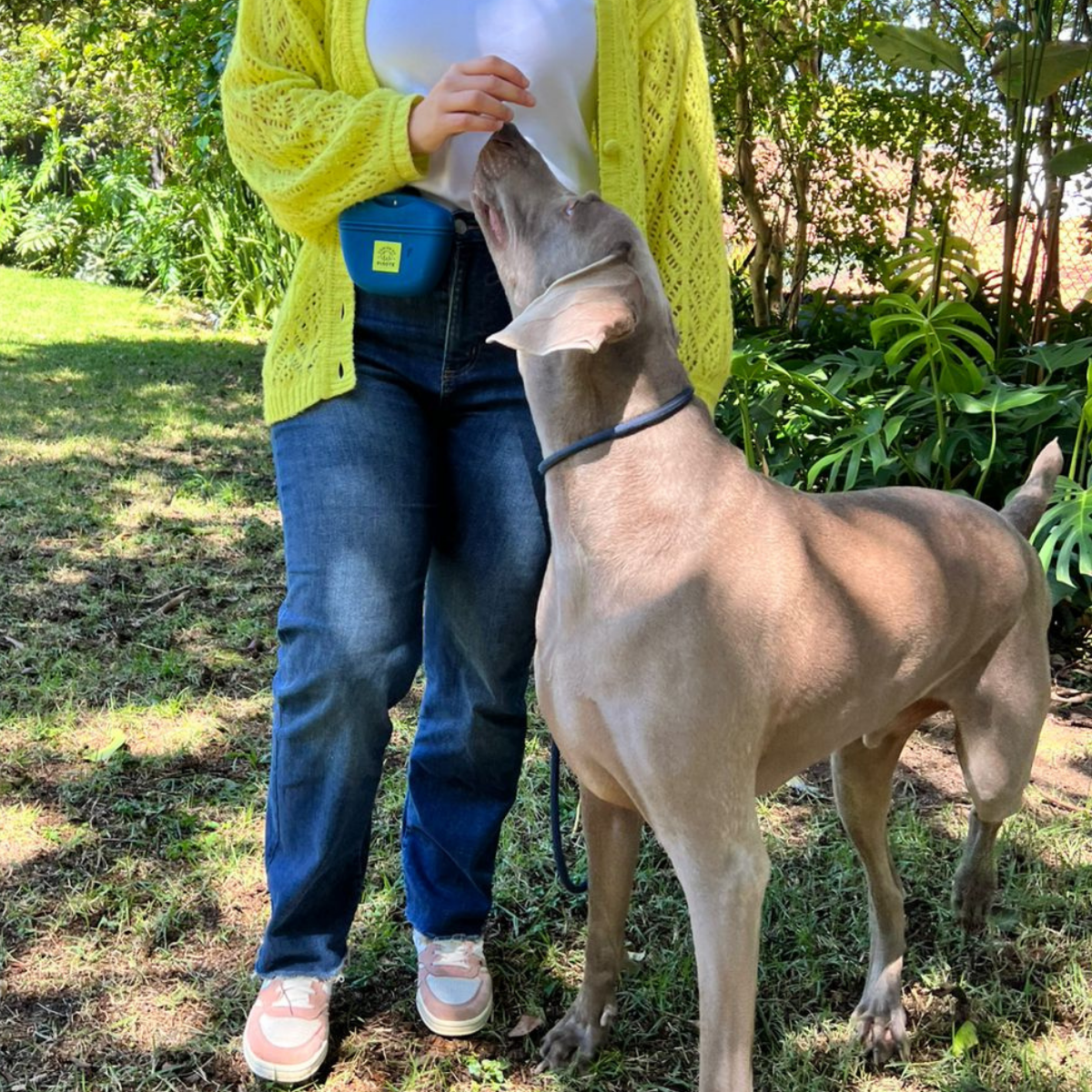 Petisqueira: Pixote to go